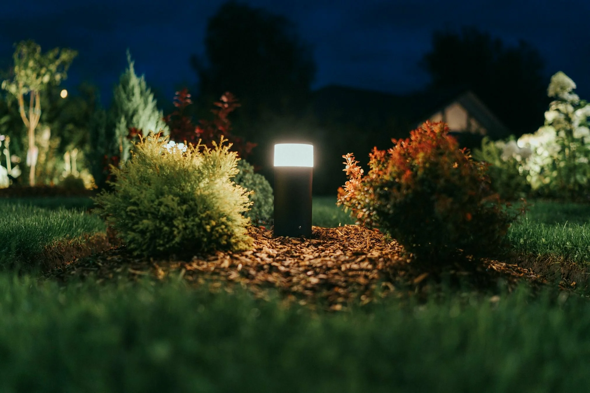 Escape to the garden  Lighting Escape to the garden  Lighting