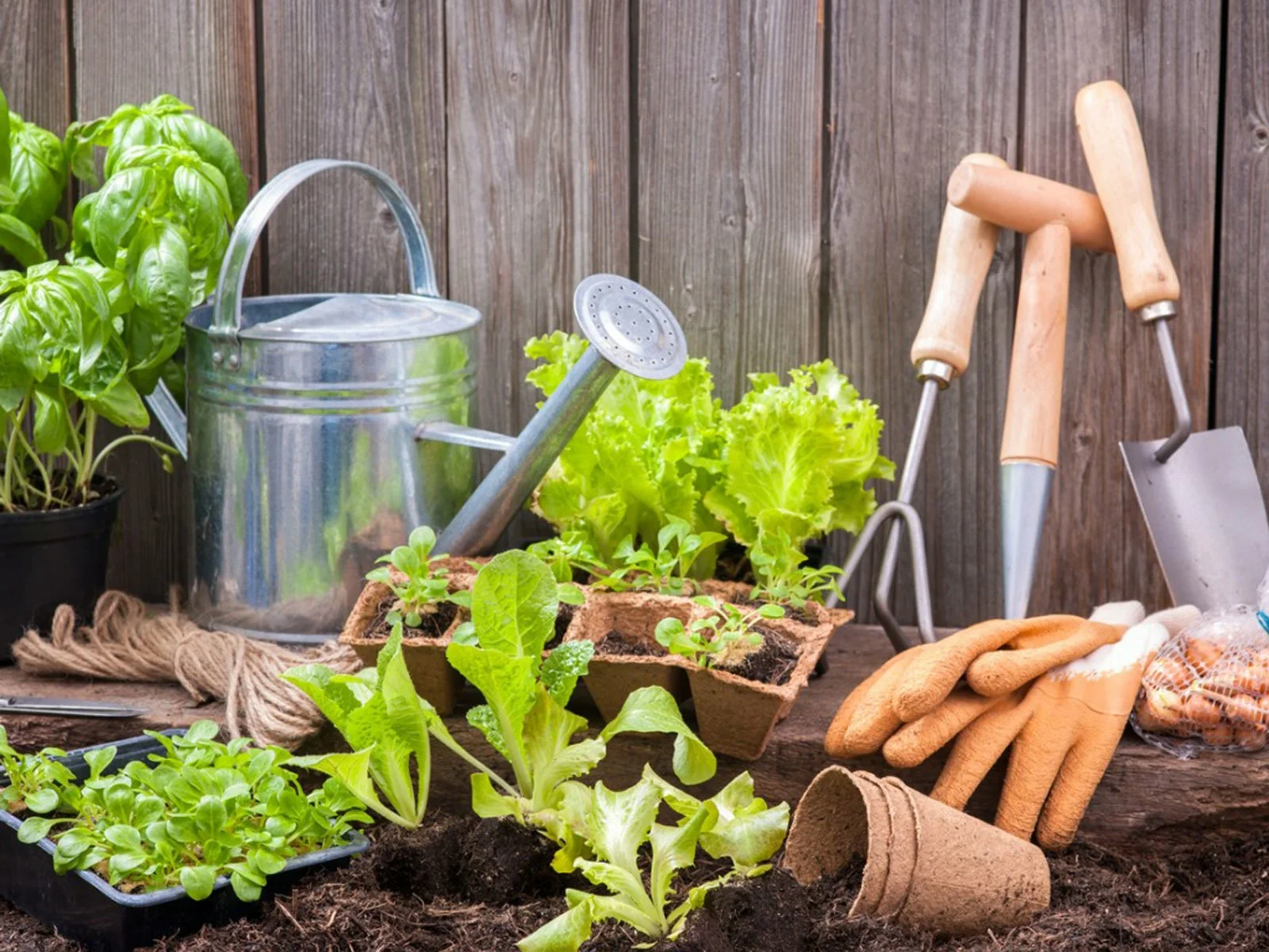 Gardening Gardening