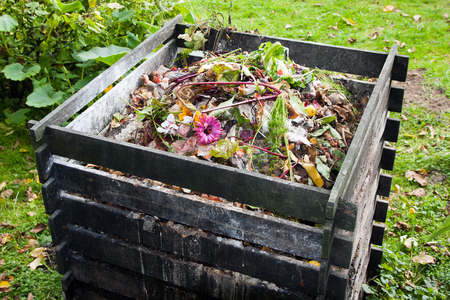 Homemade compost: a guide