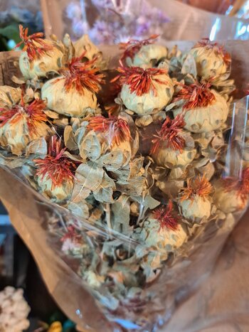 Dried flowers