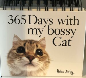 365 Days With My Bossy Cat