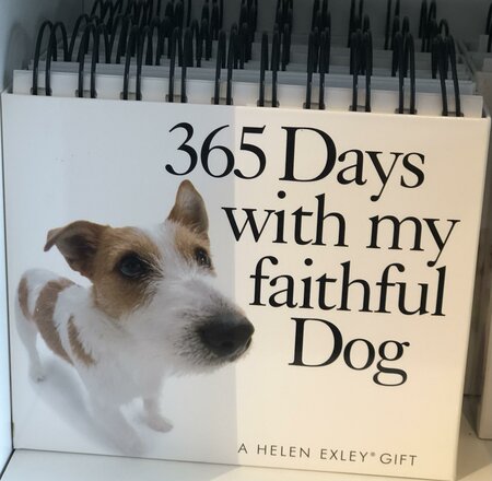 365 Days With My Faithful Dog