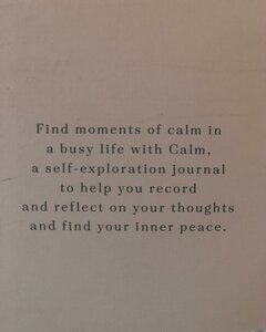 A5 Purposeful The Calm Journal - image 2