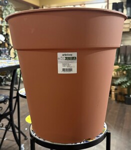 To grow Pot Madagascar terra 35cm