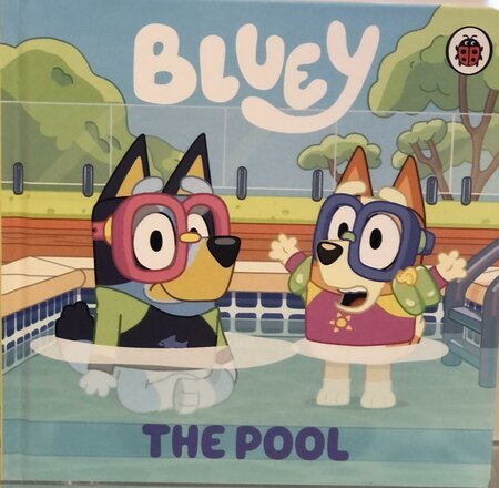 Bluey The Pool BB - image 1