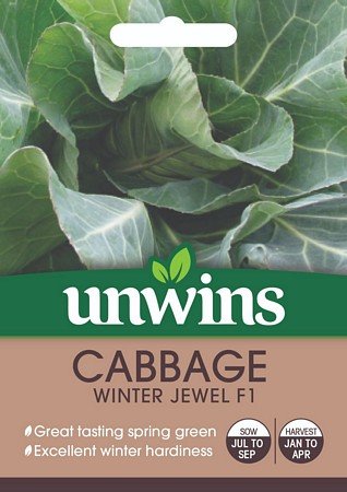 Cabbage (Spring Greens) Winter Jewel