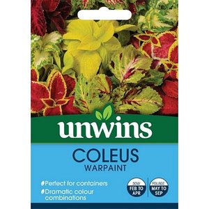 Coleus Warpaint