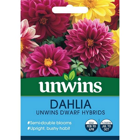 Dahlia Unwins Dwarf Hybrids