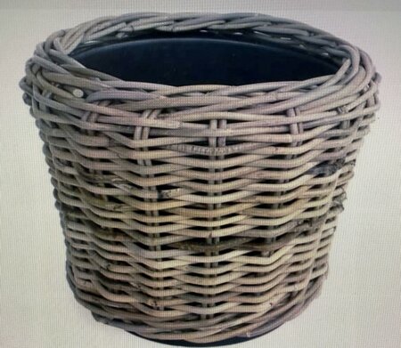 Drypot Rattan Grey d33h24cm