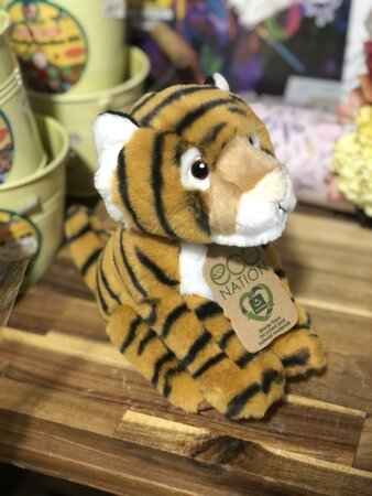 Eco Nation Bengal Tiger