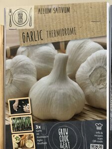 GARLIC ALLIUM WHITE THERMIDROME x3