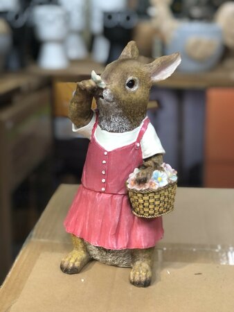 Girl Rabbit Picking Flowers