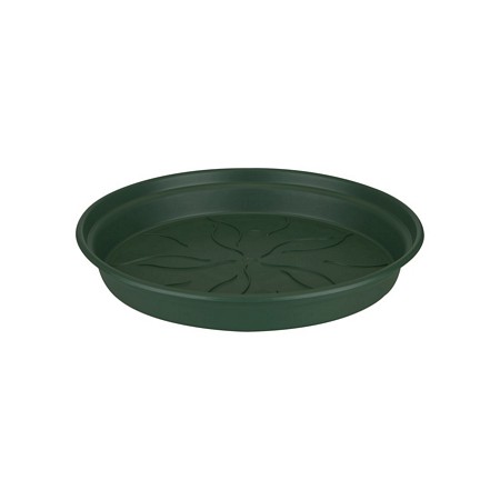 green basics saucer 25cm