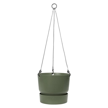 greenville hanging basket 24cm