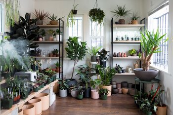 Indoor Decor