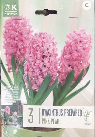 HYACINTHUS EF PINK PEARL x3