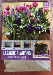 LASAGNE PLANTING PINK & BLUE