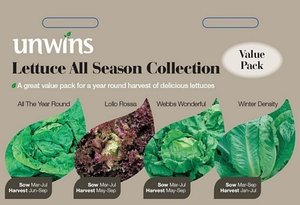 Lettuce All Season Collection Pack