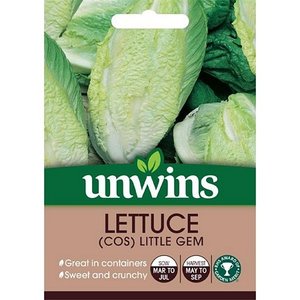 Lettuce (Cos) Little Gem