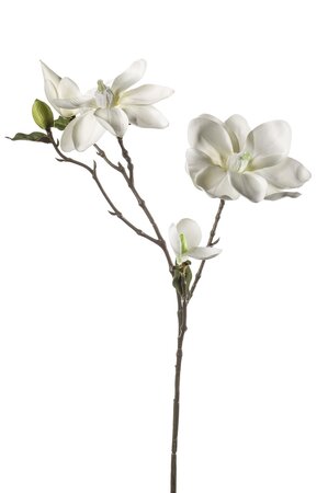 Magnolia spray 75cm cream