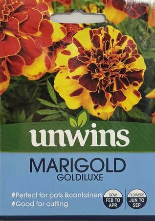 Marigold Goldiluxe