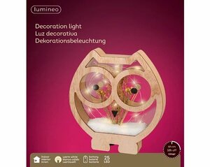 Micro LED frame light mdf owl steady BO indoor