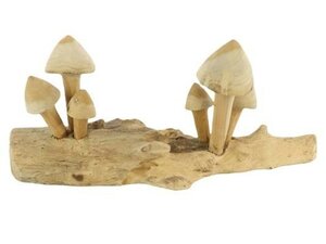 Mushroom Teak