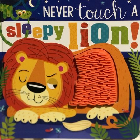 Never Touch Sleepy Lion - image 1