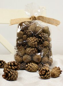 PINECONES IN A BAG