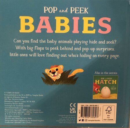 Pop and Peek Babies - image 2