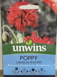 Poppy (laciniatum) Crimson Feathers