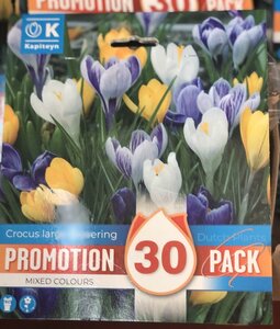 PROMO Crocus VERNUS MIXED COLOURS x30