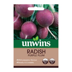 Radish Purple Plum