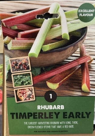 RHUBARB TIMPERLEY EARLY