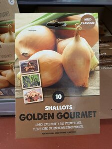 SHALLOTS GOLDEN GOURMET