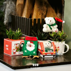 Succ. WOW mix.xmas mug bear and sock etc.