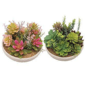 Succulent Pot 14cm 2 Assorted