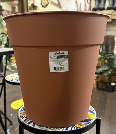 To grow Pot Madagascar terra 30cm