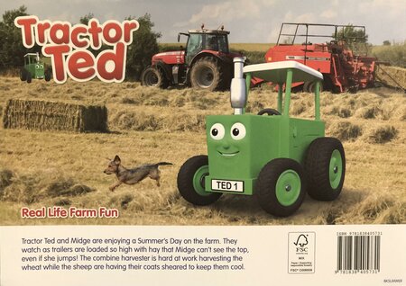 Tractor Ted A Summer's Day - image 2