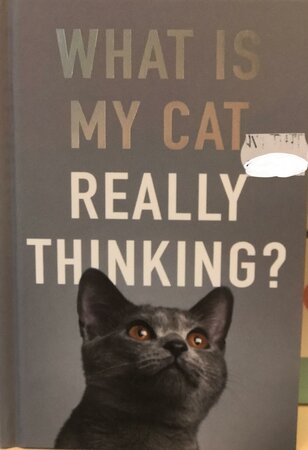 What Is My Cat Really Thinking - image 1