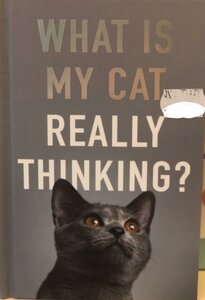 What Is My Cat Really Thinking - image 1