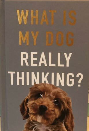 What Is My Dog Really Thinking - image 1